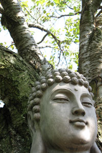 Center for Wholeness of Being :: Denise K